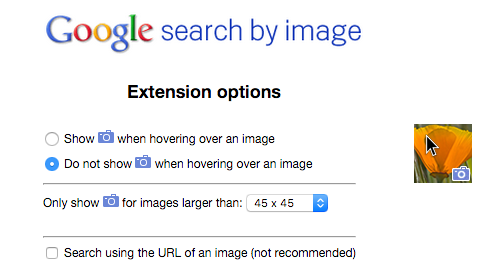 Search by Image Options